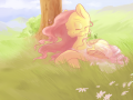 fluttershy__4_5_2013_by_mao_ookaneko-d645x34.png